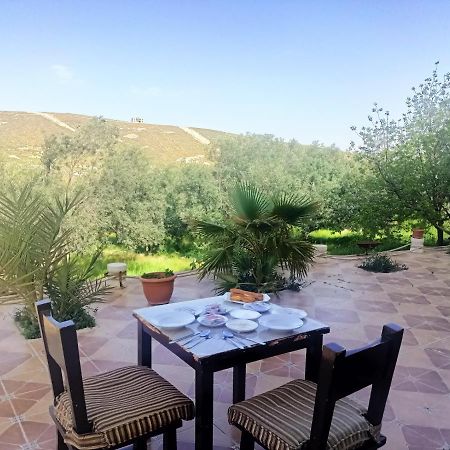 Farmer Stay Hostel Wadi Musa Buitenkant foto